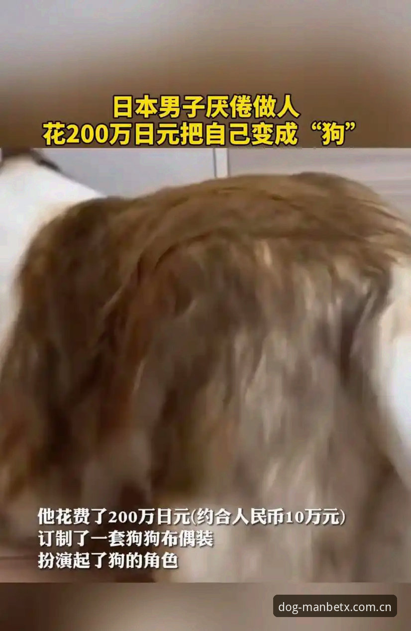 万狗官网入口安全吗 万狗官网入口安全吗?新手注册娱乐平台前该了解哪些细节?