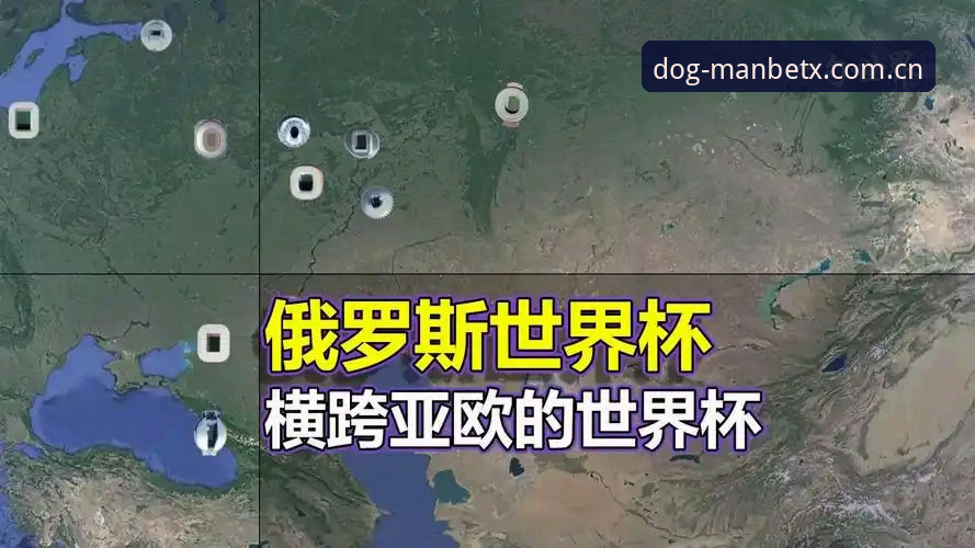 资深用户分享：世界杯观赛签证危机下的实战经验与平台选择心得