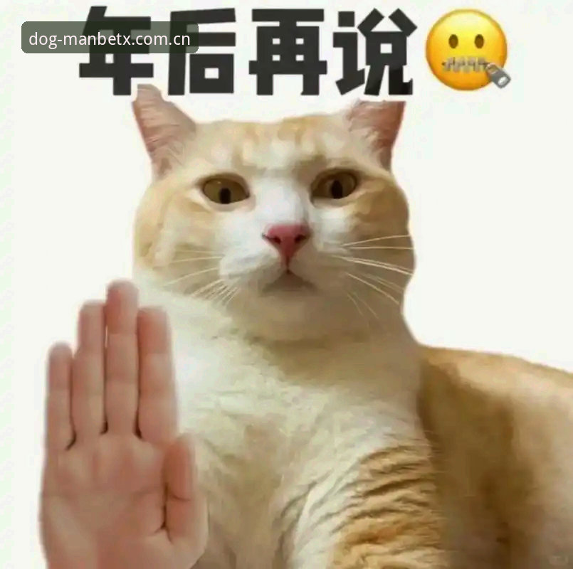 万狗官网入口安全吗？新手注册娱乐平台前该了解哪些细节？